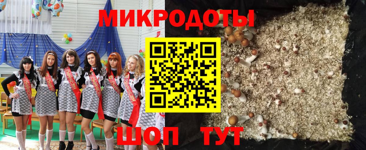 купить   Псилоцибиновые грибы Cubensis  Вход с VPN  Псилоцибиновые грибы мухоморы  Щёкино 