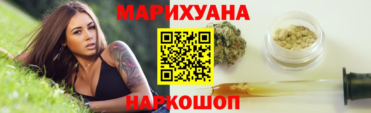 Бошки Шишки планчик Щёкино